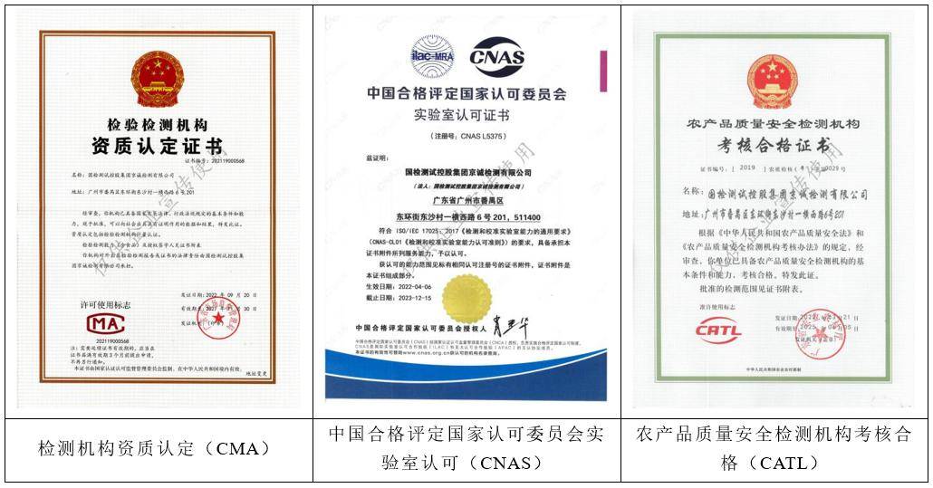 中國國檢測試控股集團(tuán) 引領(lǐng)環(huán)保技術(shù)咨詢與服務(wù)的卓越獲證單位